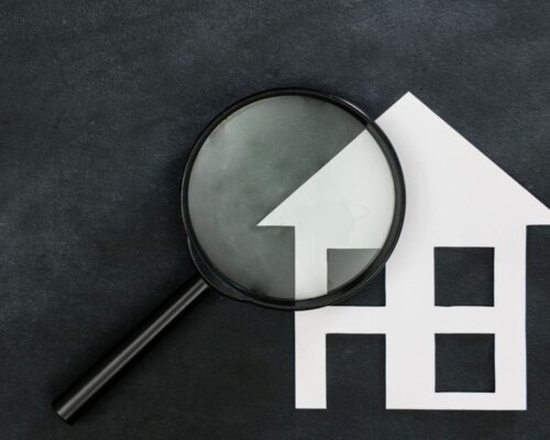 Untitled design (13)